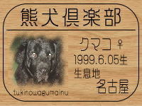 ���R�}�}����̂g�o�ւf�n�I